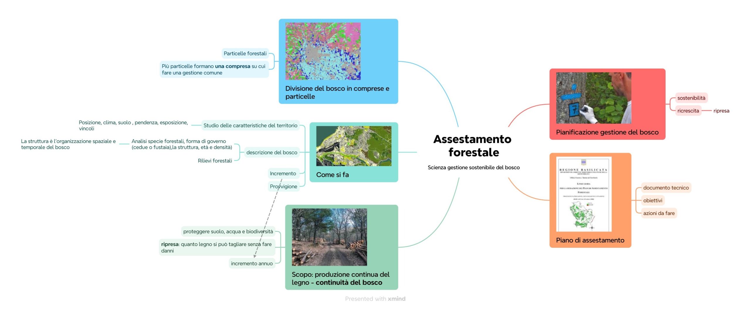 Quiz di Assestamento Forestale